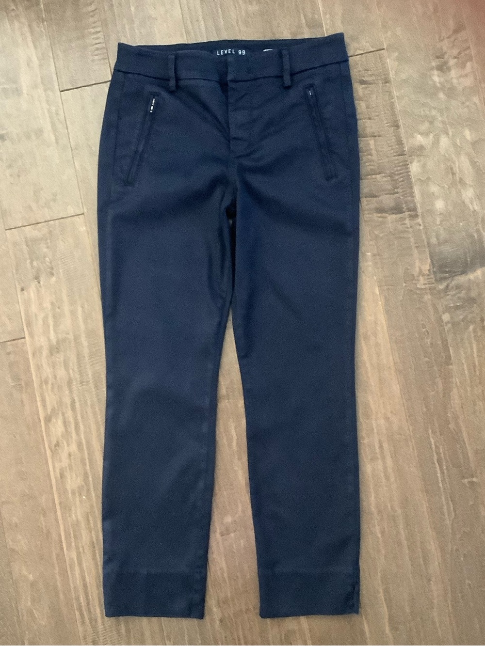 Level 99 Women's Navy Ankle Slim Pants